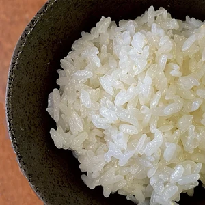 大粒で冷めても美味しい！ 特別栽培米ひゃくまん穀（白米）令和5年石川県産