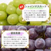 【送料無料】訳あり・規格外品 シャインマスカットと品種お任せぶどう詰合せセット
