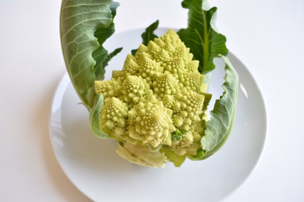 和らぎ農法　ロマネスコ　大