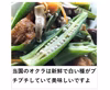 オクラ 柔らかトロうま！口の中で弾けるプチプチの種！