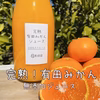 【完熟みかんと清見２種】越冬完熟みかん、清見オレンジ１００％無添加ジュースセット