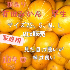有田みかん　みかん　 　10キロ  訳あり　中身は美味　果皮に斑点、傷
