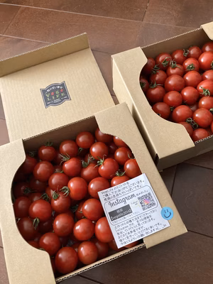 みんなの投稿の画像