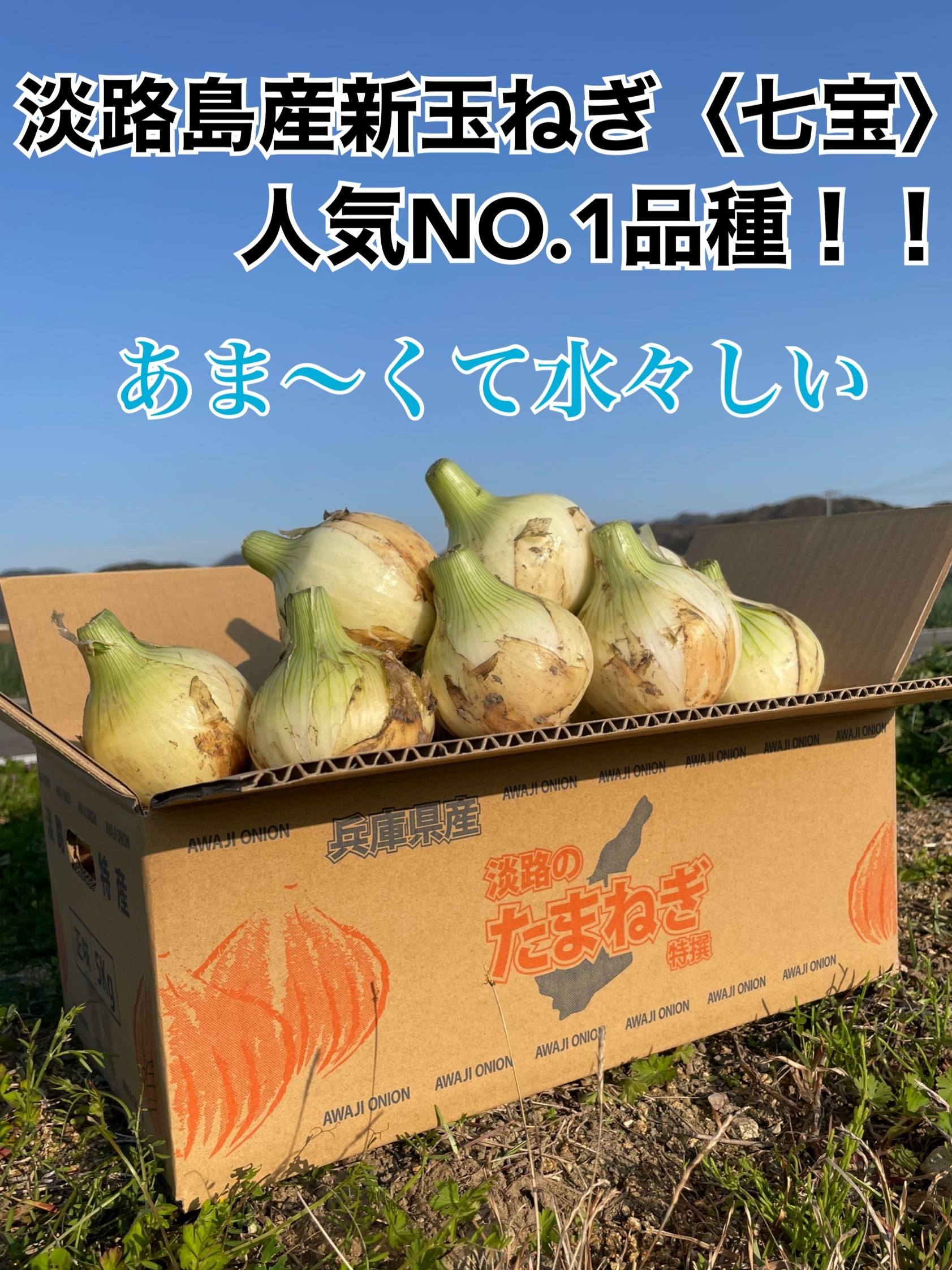 甘くて水々しい淡路島産新玉ねぎ 七宝 農家漁師から産地直送の通販 ポケットマルシェ