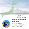 令和４年【送料込!】ホックホクな紫花豆は煮豆がおいしい！【大粒だけの特選】
