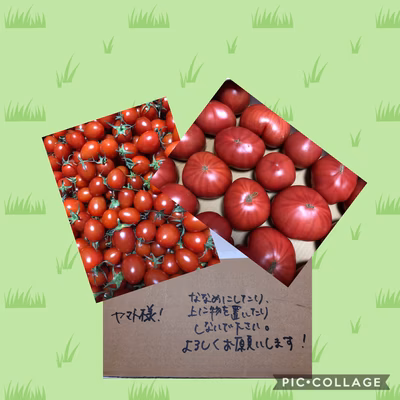 みんなの投稿の画像