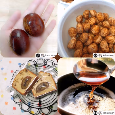 みんなの投稿の画像