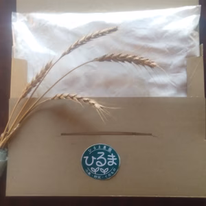 ［小麦粉］バレンタイン手作りお菓子で感謝を！【送料無料