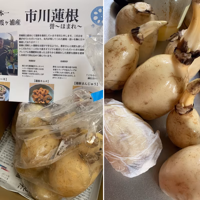 みんなの投稿の画像