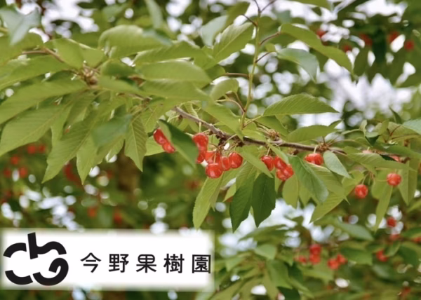 今野果樹園