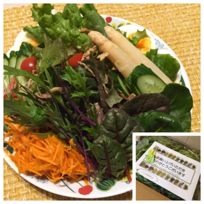 みんなの投稿の画像