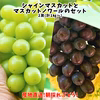シャイン品種食べ比べ！シャインマスカット＋マスカットノワール
