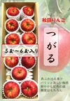 甘さあふれる 秀品 リンゴ つがるりんご 旬 秋田　冷蔵　ポケマル便