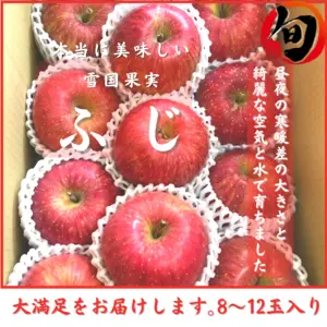  りんご 秋田県産 直送 ギフト 家庭用 お歳暮 りんご 林檎 ふじ