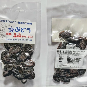 干しぶどう　神紅（しんく）（島根県オリジナル品種）50ｇ2袋