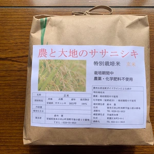 【2ヶ月に1回定期】ササニシキ農薬・化学肥料不使用 玄米2kg～