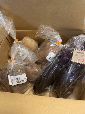 みんなの投稿の画像