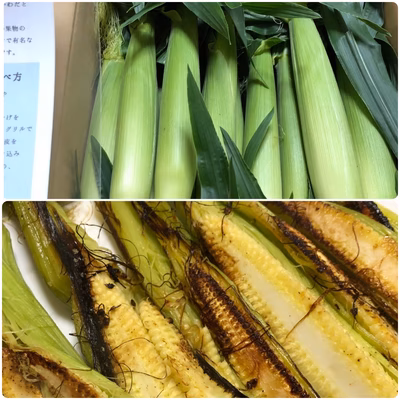 みんなの投稿の画像