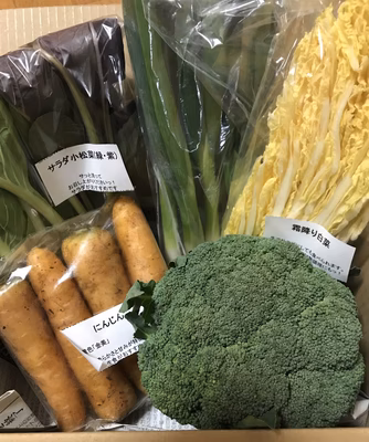 みんなの投稿の画像