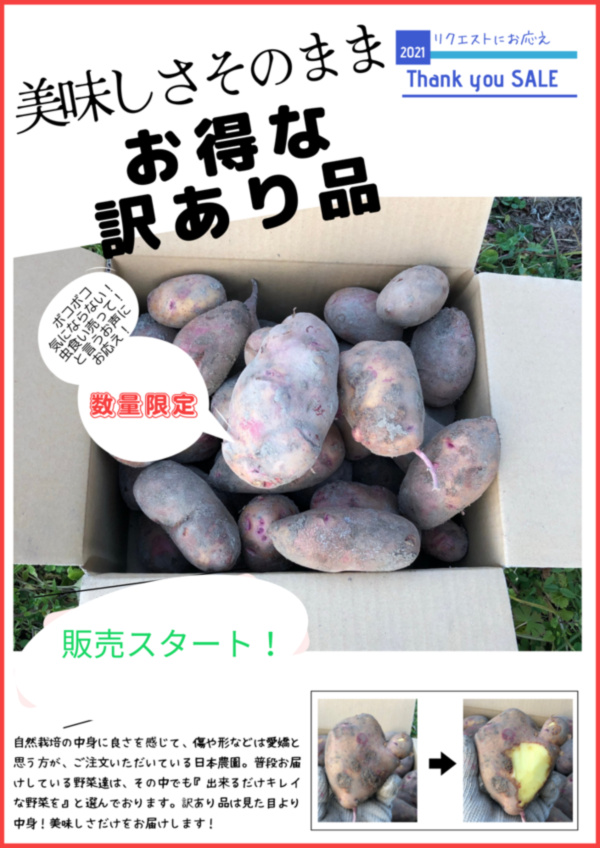 日本農園 向 真子さんへのみんなの投稿 農家漁師から産地直送の通販 ポケットマルシェ