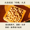 新豆！優しい味わい有機大豆　1ｋｇずつパック！＃農薬不使用｜北海道産｜