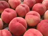 福島桑折町亀岡果樹園の桃 中生品種おまかせ 2kg箱（6～8玉） 通常品