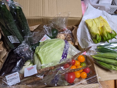 みんなの投稿の画像