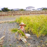 河崎雅人 | 自然農園マユコベ//nomatik