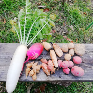 【福袋2022】野菜の味を楽しもう!!自然栽培で育った紅白野菜〜