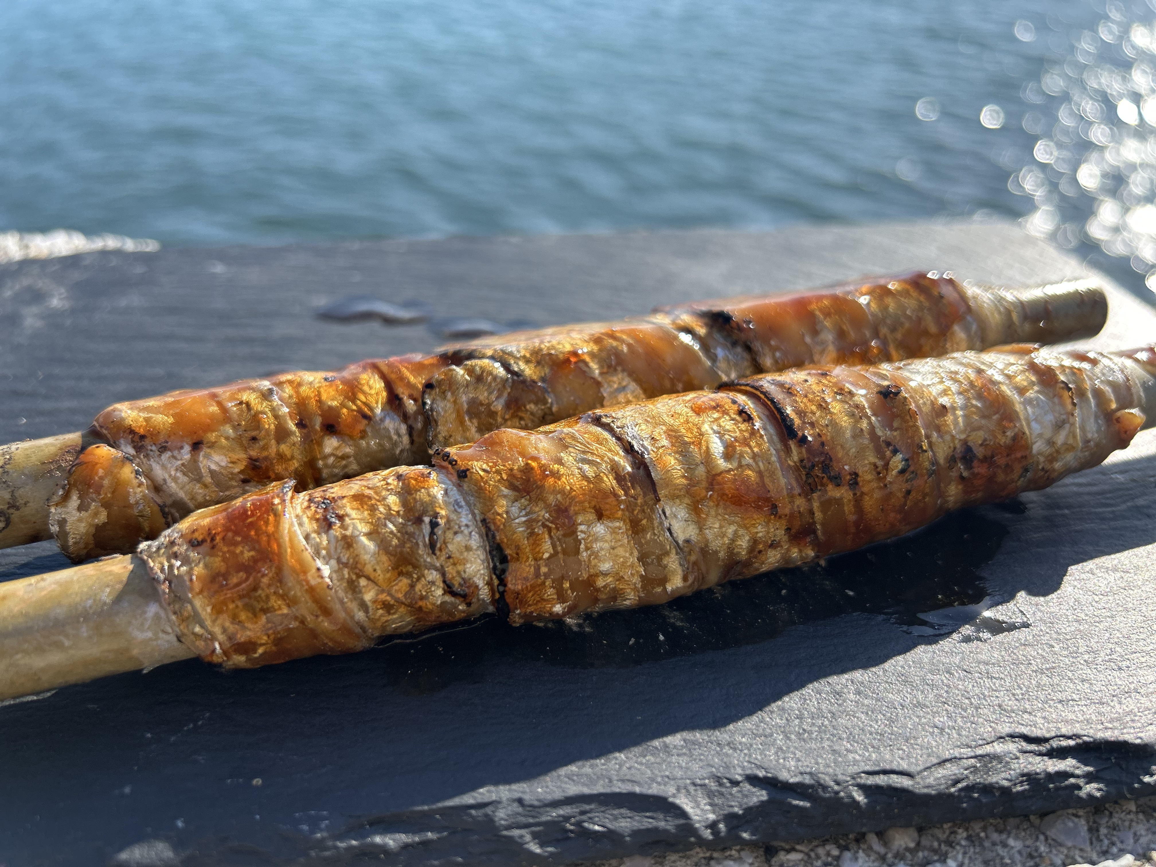 太刀巻き×穴子巻きセット 各5本入り 宇和島豊後水道産 宇和島漁師直送