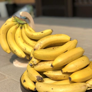 [農薬・化学肥料栽培期中不使用]たかきのバナナ1.5kg 約10本〜15本