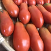 ちょっと訳あり イタリアントマト サンマルツァーノ 約750g 農薬不使用
