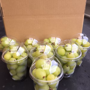 【訳有り】南信州産シャインマスカット  粒カップ　2kg(250g×8)