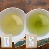 【送料無料】季節の手土産にも！1煎ミニパック5ヶ　令和7年新茶２品種飲み比べ！