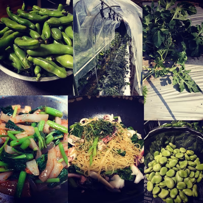 みんなの投稿の画像