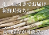 ✅霜に当たり甘さを増した【至福の極甘ネギ】✅【2本以上増量❗️❗️】✨信州産