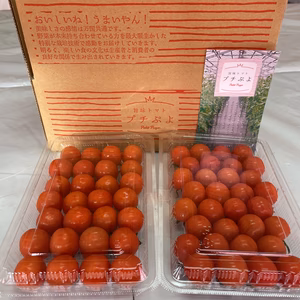 こだわりが生み出した旨味トマトプチぷよ（お試しパック）