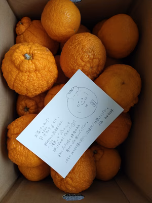 みんなの投稿の画像