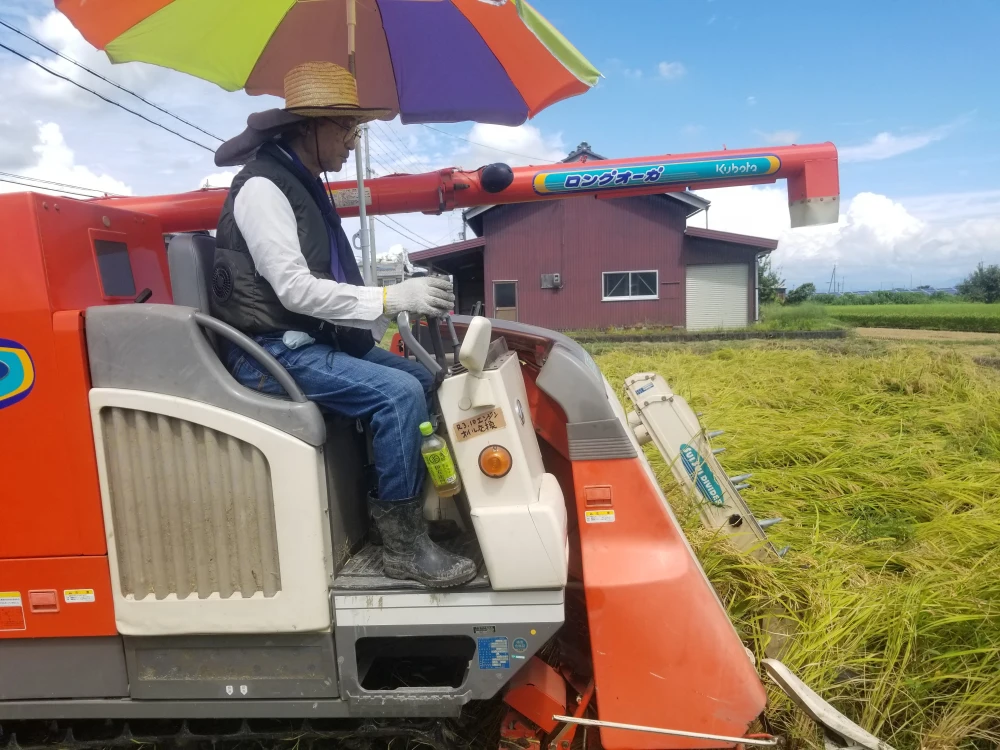 R4年産　油かすなど有機肥料60％施肥で好食味の特別栽培米コシヒカリ玄米10ｋｇ