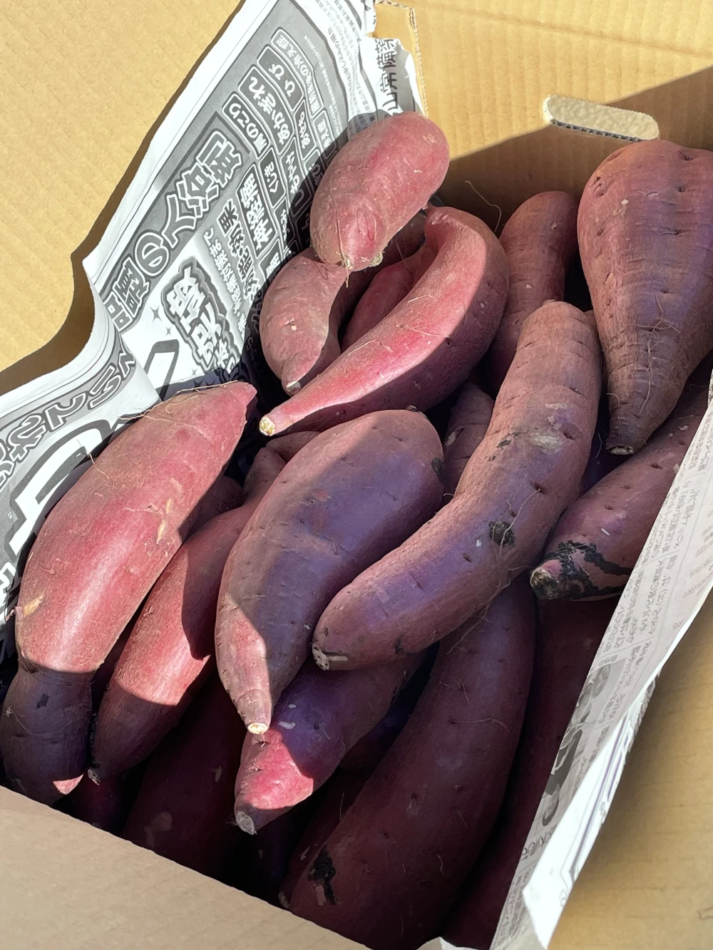 【㊙️蔵出し超熟成❗️】 千葉県産　紅はるか　B品
