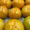 ◎自然栽培◎ 富有柿　14個　2.5キロ　【優しい甘み】