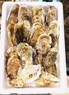 【数量限定！！】寿牡蠣　特大サイズ15個