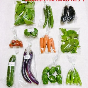 7月のオーガニック野菜セット（クール便）