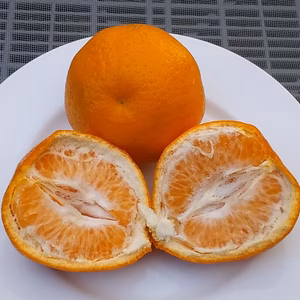 【はるみ晩柑】SML混在(2Kg)和歌山下津産「常温便」