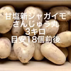 【鹿児島産】甘塩新ジャガイモ箱込み3キロ^_^