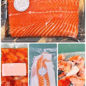 【-60冷凍】輝サーモンまるごと満足セット！