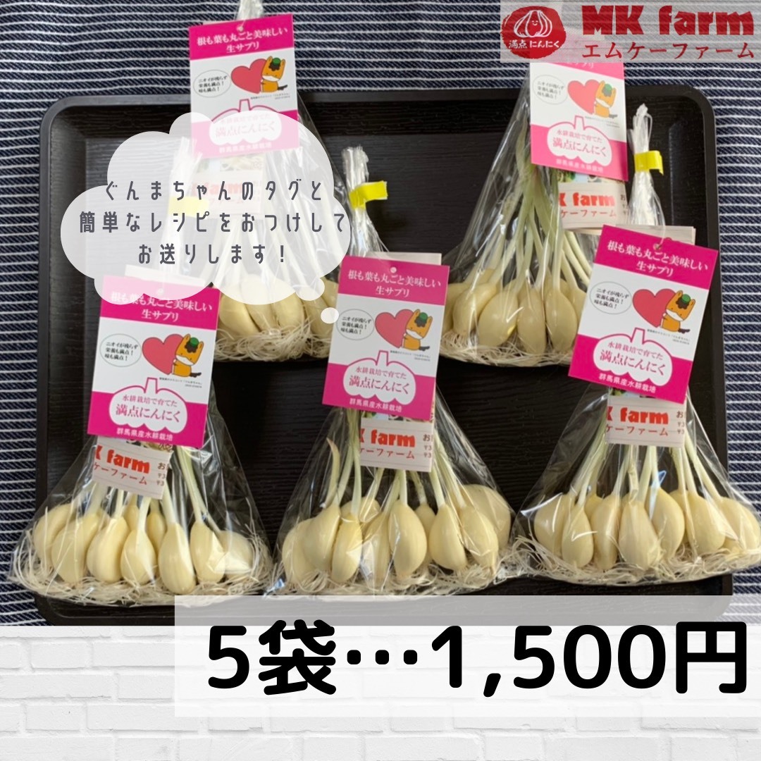 お得な群馬県産満点にんにく（発芽にんにく）50本セット｜野菜の商品