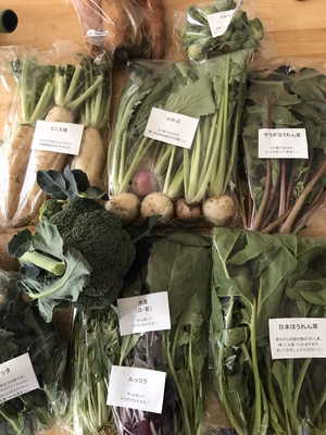 みんなの投稿の画像