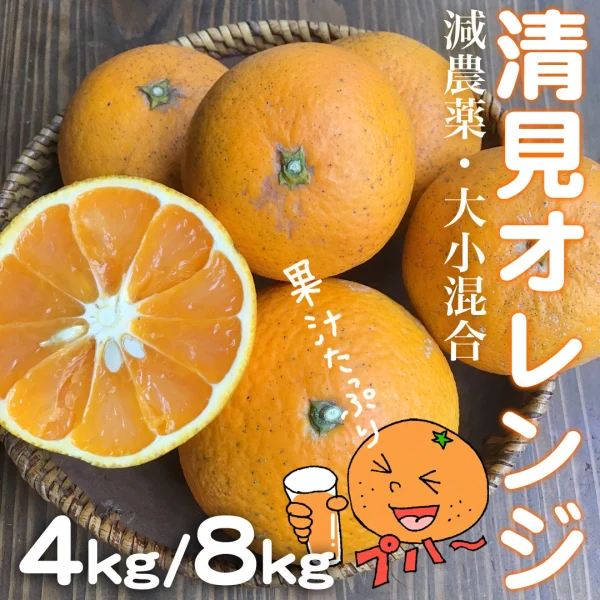 果汁たっぷり！清見オレンジ【減農薬】