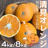 果汁たっぷり！清見オレンジ【減農薬】